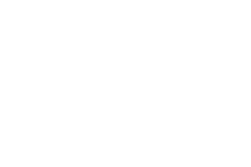 NSS