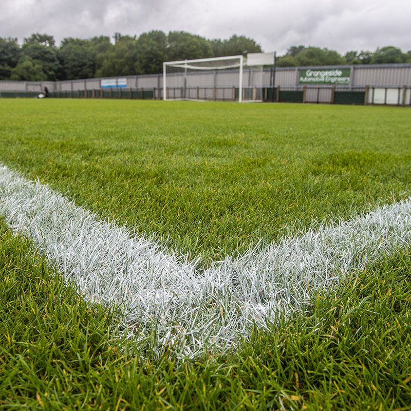 Zebra Grass Line Marking Paint - 10L