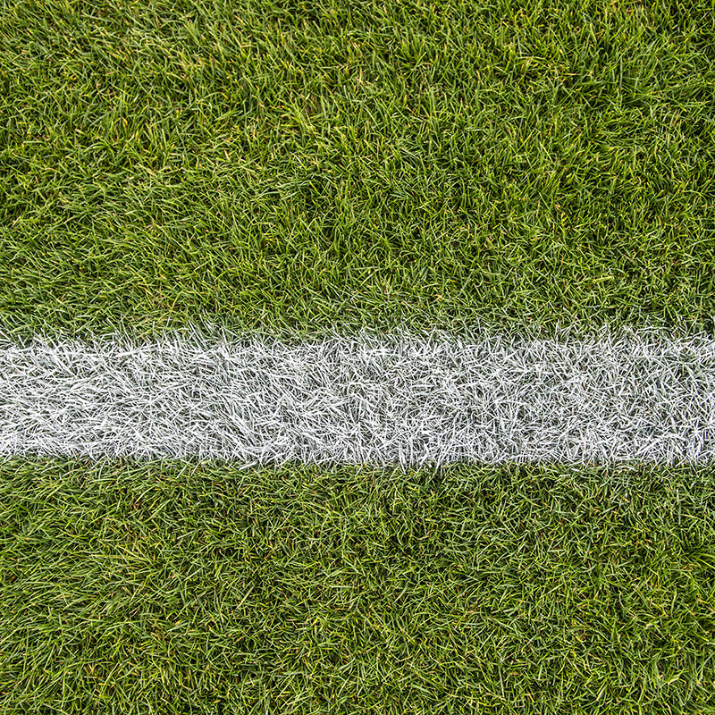 Zebra Grass Line Marking Paint - 10L